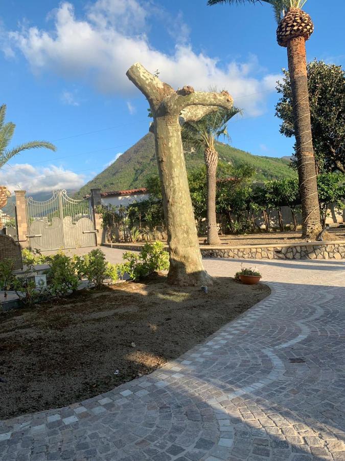 Villa Lucia Castellammare di Stabia Exterior photo